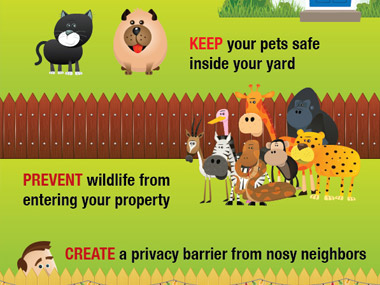 Poly Enterprises Infographic